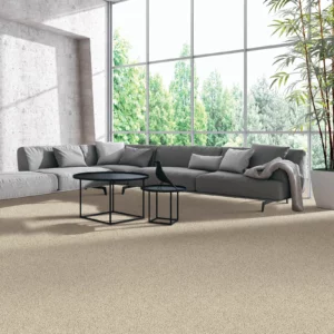 Carpet Flooring | Calvetta Brothers Northfield