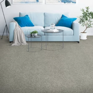 Carpet Flooring | Calvetta Brothers Northfield